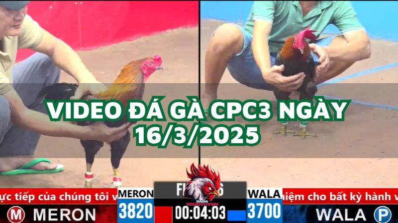 da-ga-cpc3-16-3-2025