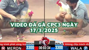 da-ga-cpc3-17-3-2025