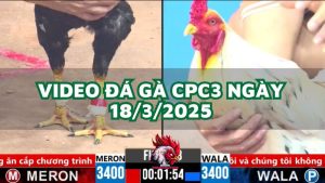 da-ga-cpc3-18-3-2025