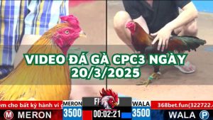 da-ga-cpc3-20-3-2025