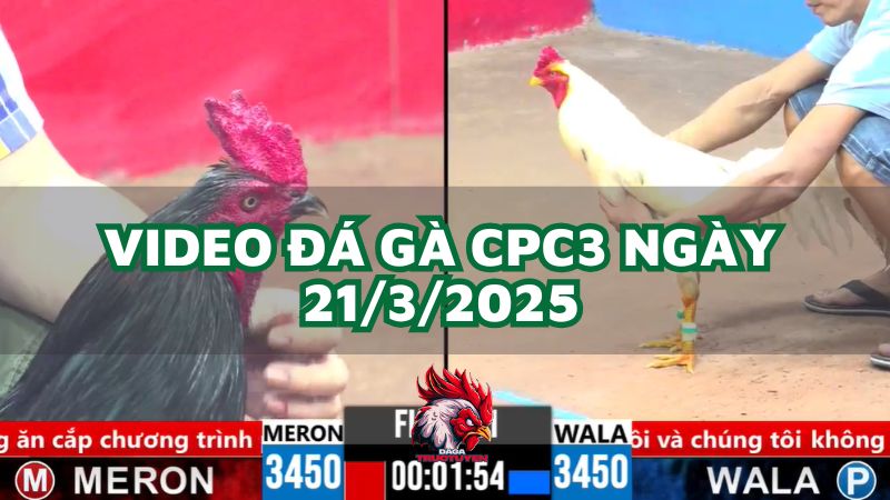 da-ga-cpc3-21-3-2025