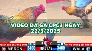 da-ga-cpc3-22-3-2025