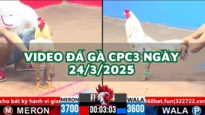 da-ga-cpc3-24-3-2025