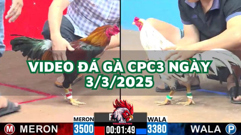 da-ga-cpc3-3-3-2025