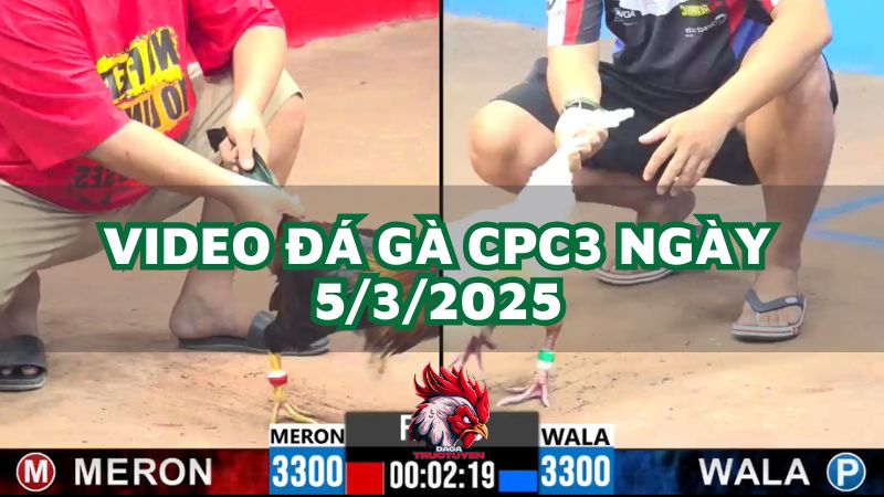 da-ga-cpc3-5-3-2025