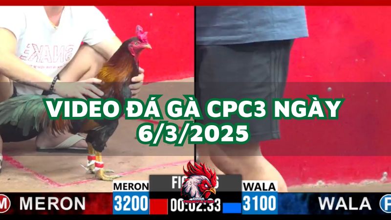 da-ga-cpc3-6-3-2025