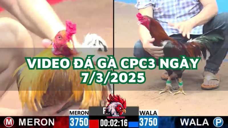 da-ga-cpc3-7-3-2025