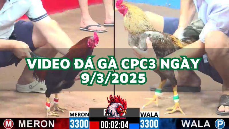 da-ga-cpc3-9-3-2025