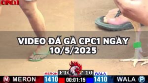 da-ga-cpc1-10-5-25