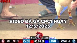 da-ga-cpc1-12-5-25