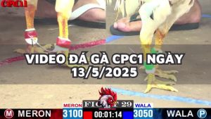 da-ga-cpc1-13-5-25