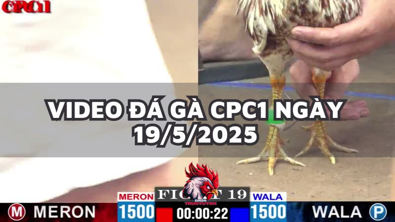 da-ga-cpc1-19-5-25