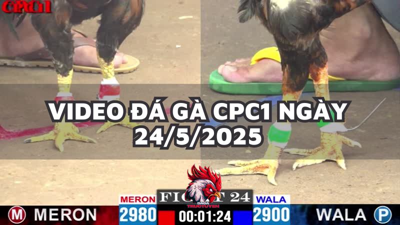 da-ga-cpc1-24-5-25