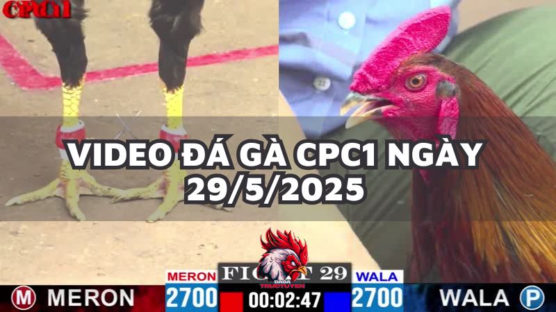 da-ga-cpc1-29-5-25