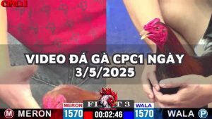da-ga-cpc1-3-5-25