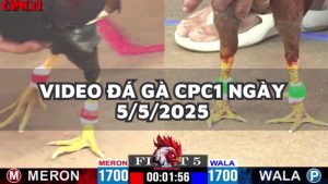 da-ga-cpc1-5-5-25