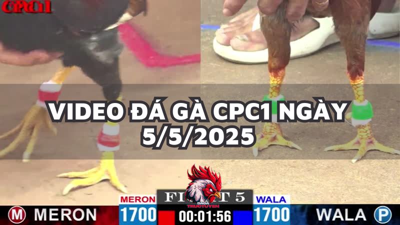 da-ga-cpc1-5-5-25