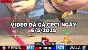 da-ga-cpc1-6-5-25