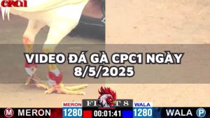 da-ga-cpc1-8-5-25