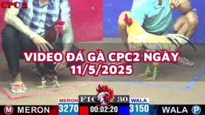 da-ga-cpc2-11-5-25