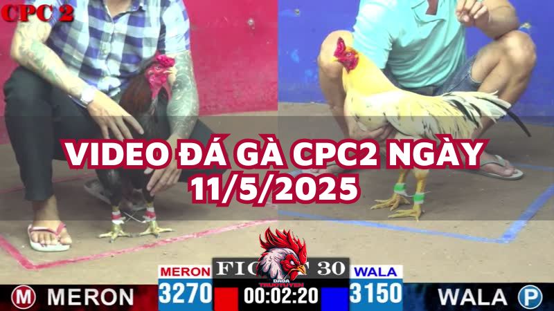 da-ga-cpc2-11-5-25