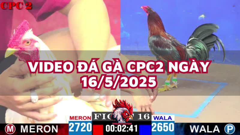 da-ga-cpc2-16-5-25