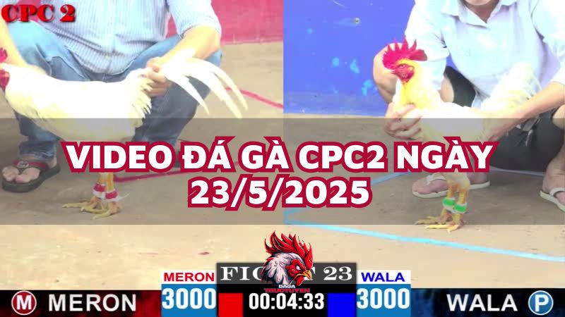 da-ga-cpc2-23-5-25