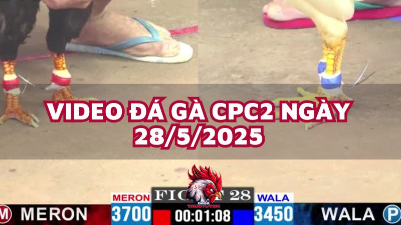 da-ga-cpc2-28-5-25