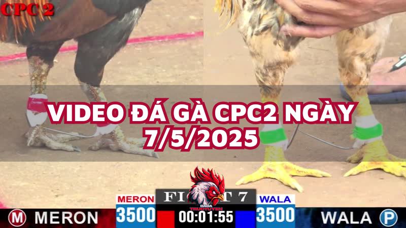 da-ga-cpc2-7-5-25