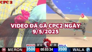 da-ga-cpc2-9-5-25