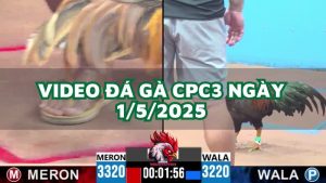 da-ga-cpc3-1-5-2025