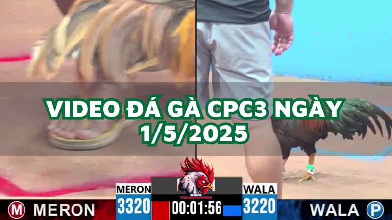 da-ga-cpc3-1-5-2025