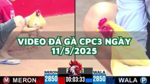 da-ga-cpc3-11-5-2025