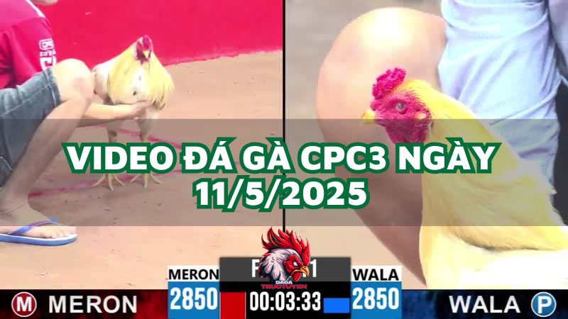 da-ga-cpc3-11-5-2025