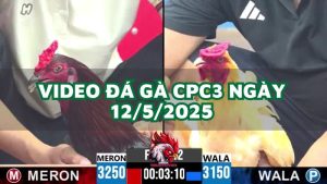 da-ga-cpc3-12-5-2025