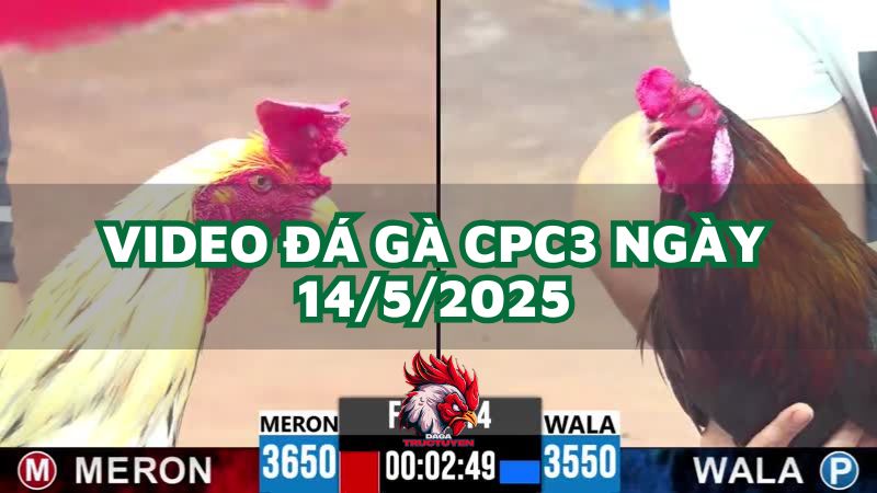 da-ga-cpc3-14-5-2025