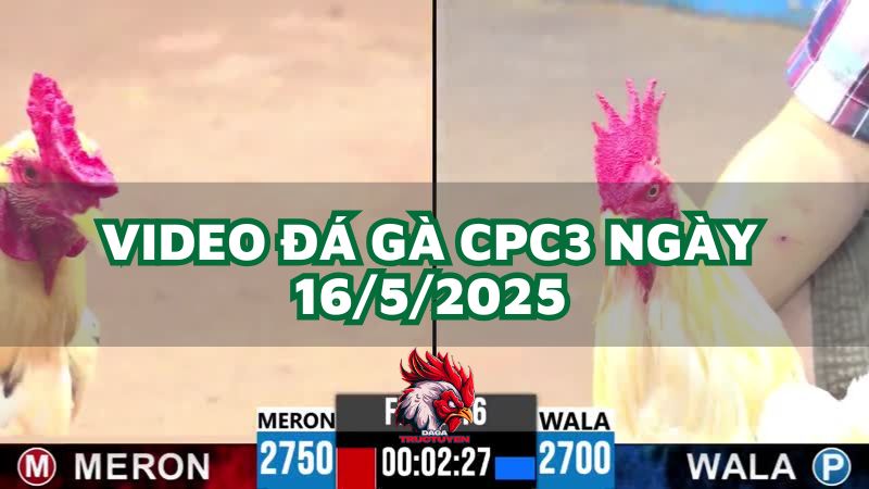 da-ga-cpc3-16-5-2025