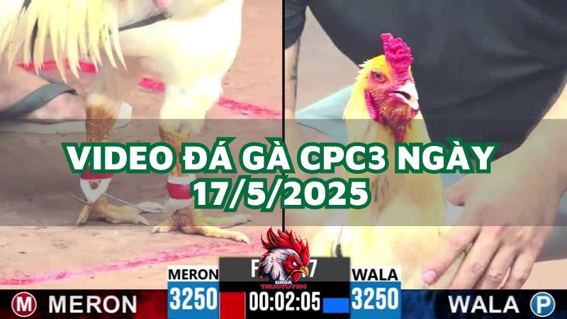 da-ga-cpc3-17-5-2025