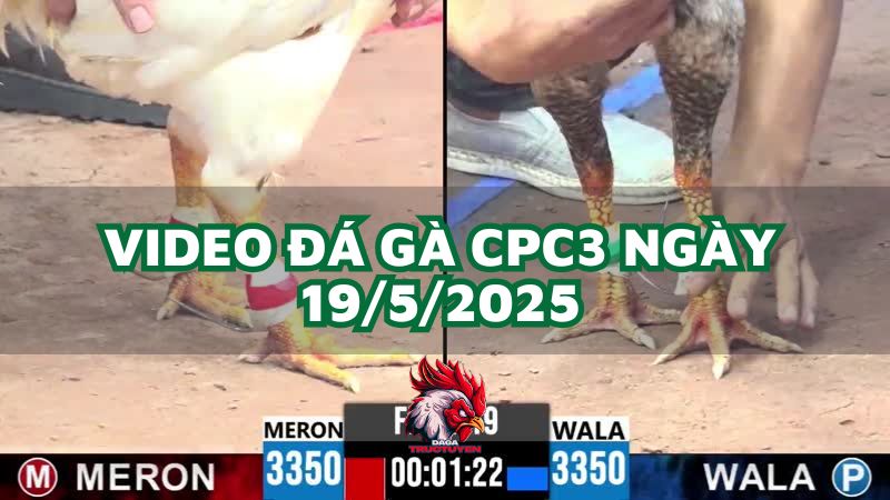 da-ga-cpc3-19-5-2025