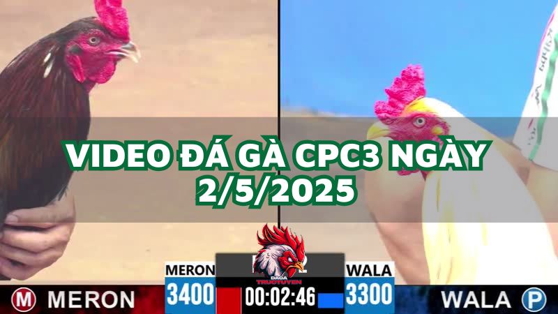da-ga-cpc3-2-5-2025