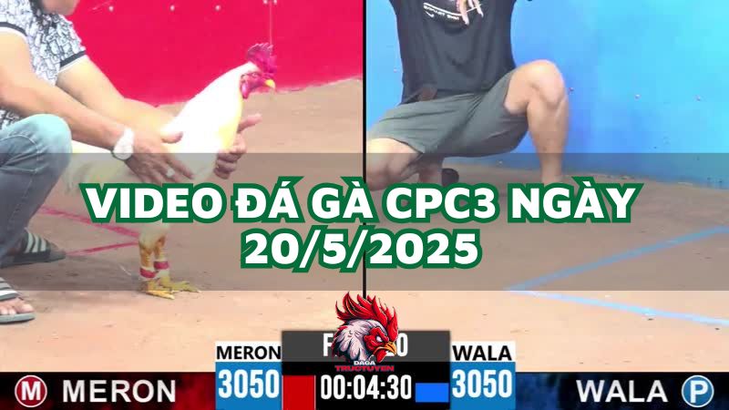 da-ga-cpc3-20-5-2025