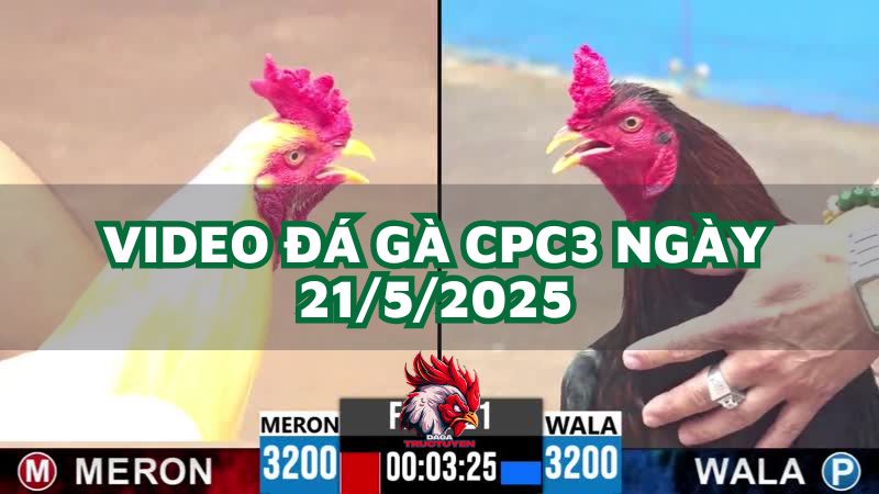 da-ga-cpc3-21-5-2025