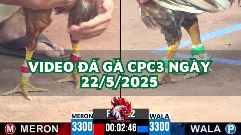 da-ga-cpc3-22-5-2025
