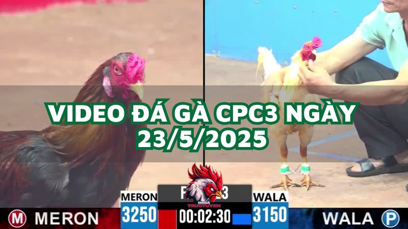 da-ga-cpc3-23-5-2025