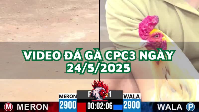 da-ga-cpc3-24-5-2025