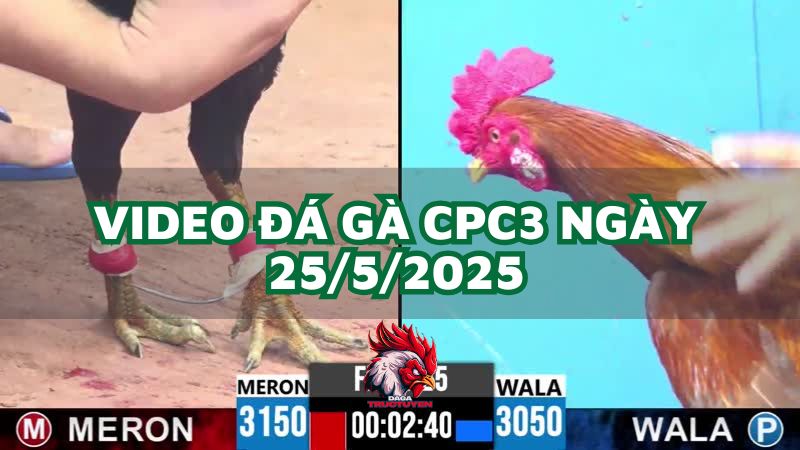 da-ga-cpc3-25-5-2025