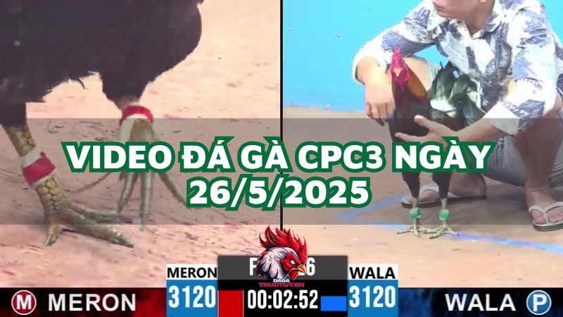 da-ga-cpc3-26-5-2025