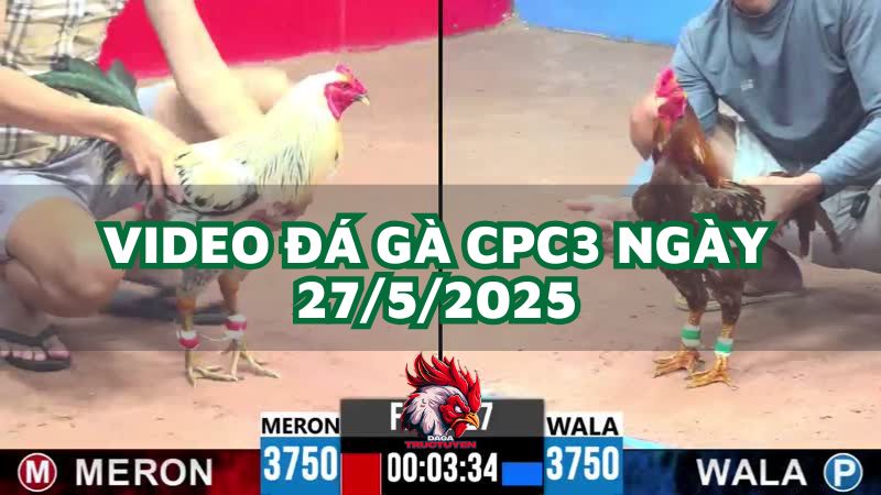 da-ga-cpc3-27-5-2025