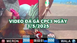da-ga-cpc3-3-5-2025