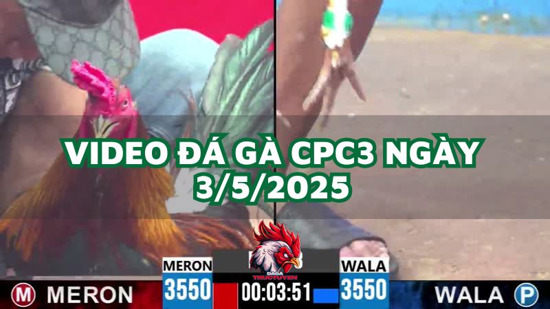da-ga-cpc3-3-5-2025